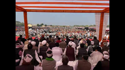 widespread protests in bikaner to save state tree https://jaipur.visitinrajasthan.com/wp-content/uploads/2023/10/cropped-cropped-R-2.png