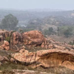 msid 129048206imgsize 73976.cms https://jaipur.visitinrajasthan.com/wp-content/uploads/2023/10/cropped-cropped-R-2.png