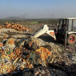 msid 129353765imgsize 113892.cms https://jaipur.visitinrajasthan.com/wp-content/uploads/2023/10/cropped-cropped-R-2.png