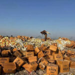 msid 129410907imgsize 62572.cms https://jaipur.visitinrajasthan.com/wp-content/uploads/2023/10/cropped-cropped-R-2.png