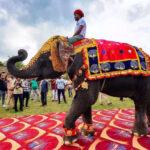 msid 129522707imgsize 85476.cms https://jaipur.visitinrajasthan.com/wp-content/uploads/2023/10/cropped-cropped-R-2.png