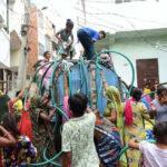 msid 129724885imgsize 80810.cms https://jaipur.visitinrajasthan.com/wp-content/uploads/2023/10/cropped-cropped-R-2.png