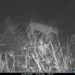 msid 129761660imgsize 44096.cms https://jaipur.visitinrajasthan.com/wp-content/uploads/2023/10/cropped-cropped-R-2.png