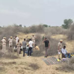 msid 129833503imgsize 61448.cms https://jaipur.visitinrajasthan.com/wp-content/uploads/2023/10/cropped-cropped-R-2.png