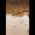 unseasonal rain hailstorm lash state temperature falls by 9c https://jaipur.visitinrajasthan.com/wp-content/uploads/2023/10/cropped-cropped-R-2.png