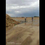 unseasonal rain ravages rabi crops raj govt promises insurance relief https://jaipur.visitinrajasthan.com/wp-content/uploads/2023/10/cropped-cropped-R-2.png