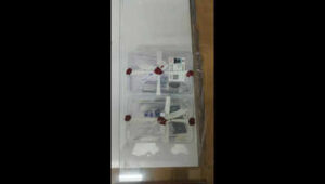 130617204 https://jaipur.visitinrajasthan.com/wp-content/uploads/2023/10/cropped-cropped-R-2.png