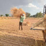 1776057022 image https://jaipur.visitinrajasthan.com/wp-content/uploads/2023/10/cropped-cropped-R-2.png