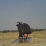 1777531945 unnamed file https://jaipur.visitinrajasthan.com/wp-content/uploads/2023/10/cropped-cropped-R-2.png