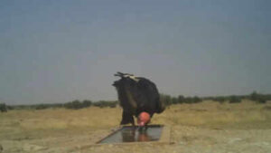 1777531945 unnamed file https://jaipur.visitinrajasthan.com/wp-content/uploads/2023/10/cropped-cropped-R-2.png