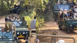 a video from ranthambore national park shows a tiger surrounded by numerous safari vehicles https://jaipur.visitinrajasthan.com/wp-content/uploads/2023/10/cropped-cropped-R-2.png