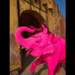 handlers lensman defend pink shoot https://jaipur.visitinrajasthan.com/wp-content/uploads/2023/10/cropped-cropped-R-2.png