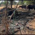 mob torches houses in banswara village after youths brutal murder https://jaipur.visitinrajasthan.com/wp-content/uploads/2023/10/cropped-cropped-R-2.png