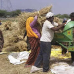 pti03 25 2026 000189bjpg https://jaipur.visitinrajasthan.com/wp-content/uploads/2023/10/cropped-cropped-R-2.png