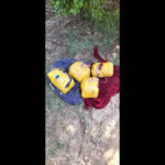 raj cops bsf bust heroin drone drop near border https://jaipur.visitinrajasthan.com/wp-content/uploads/2023/10/cropped-cropped-R-2.png