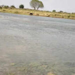 river in dholpur where 3 diedjpeg https://jaipur.visitinrajasthan.com/wp-content/uploads/2023/10/cropped-cropped-R-2.png