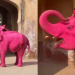 unnamed file https://jaipur.visitinrajasthan.com/wp-content/uploads/2023/10/cropped-cropped-R-2.png