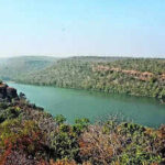 img chambal river 1 1 3qk5hkq3jpg https://jaipur.visitinrajasthan.com/wp-content/uploads/2023/10/cropped-cropped-R-2.png