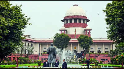 img supreme court ani 2 1 5tkfehjkjpg https://jaipur.visitinrajasthan.com/wp-content/uploads/2023/10/cropped-cropped-R-2.png
