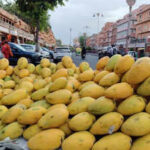 mango shop 1jpeg https://jaipur.visitinrajasthan.com/wp-content/uploads/2023/10/cropped-cropped-R-2.png