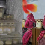 thousands of mothers donate breast milk for babies in rajasthan https://jaipur.visitinrajasthan.com/wp-content/uploads/2023/10/cropped-cropped-R-2.png