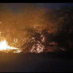 wildfire in jaisalmer razes thousands of acres threatens defence establishments https://jaipur.visitinrajasthan.com/wp-content/uploads/2023/10/cropped-cropped-R-2.png