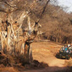 wildlife4 rgbjpg https://jaipur.visitinrajasthan.com/wp-content/uploads/2023/10/cropped-cropped-R-2.png
