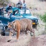 08 09 2023 010 002 004 toihjpg https://jaipur.visitinrajasthan.com/wp-content/uploads/2023/10/cropped-cropped-R-2.png
