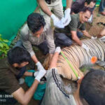 131596295 https://jaipur.visitinrajasthan.com/wp-content/uploads/2023/10/cropped-cropped-R-2.png