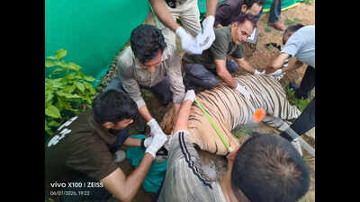 131596295 https://jaipur.visitinrajasthan.com/wp-content/uploads/2023/10/cropped-cropped-R-2.png