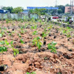 757aefe1 c8d8 40fc 9253 d1e97b87d1d1 photo05 bhu bmc miyawaki plantation drive at hatisuni in salia sahi slum2jpg https://jaipur.visitinrajasthan.com/wp-content/uploads/2023/10/cropped-cropped-R-2.png