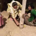 due to her fragile mental condition she was unable to clearly explain the reasons behind her confinement https://jaipur.visitinrajasthan.com/wp-content/uploads/2023/10/cropped-cropped-R-2.png