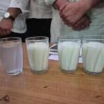 m20 introduced by milk association in protest of ethanol mix petrol at pcpc bhagirath 8jpeg https://jaipur.visitinrajasthan.com/wp-content/uploads/2023/10/cropped-cropped-R-2.png
