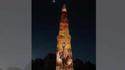 on the evening of june 5 one of delhis most iconic monuments became the canvas for the story of one of world rarest amp endangered birds https://jaipur.visitinrajasthan.com/wp-content/uploads/2023/10/cropped-cropped-R-2.png