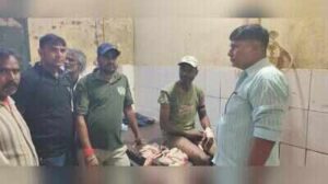 tigress attacks tracking team member in dholpur 3jpeg https://jaipur.visitinrajasthan.com/wp-content/uploads/2023/10/cropped-cropped-R-2.png