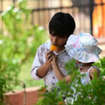 weather 1jpg https://jaipur.visitinrajasthan.com/wp-content/uploads/2023/10/cropped-cropped-R-2.png