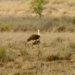 56182516 315b 4b28 bd76 8b02d7165f01 20260710 141201jpg https://jaipur.visitinrajasthan.com/wp-content/uploads/2023/10/cropped-cropped-R-2.png