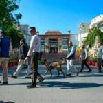 568e6b9e 1359 4ce9 981e 56c3f634ffc0jpg https://jaipur.visitinrajasthan.com/wp-content/uploads/2023/10/cropped-cropped-R-2.png