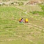 f4ae8562 9a4b 4e14 b8d3 fb59b141218ajpg https://jaipur.visitinrajasthan.com/wp-content/uploads/2023/10/cropped-cropped-R-2.png