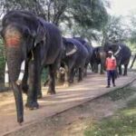 pti04 02 2026 000309bjpg https://jaipur.visitinrajasthan.com/wp-content/uploads/2023/10/cropped-cropped-R-2.png