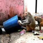 133979304 https://jaipur.visitinrajasthan.com/wp-content/uploads/2023/10/cropped-cropped-R-2.png