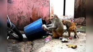 133979304 https://jaipur.visitinrajasthan.com/wp-content/uploads/2023/10/cropped-cropped-R-2.png