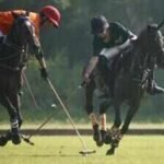 1790188632 polo 1jpg https://jaipur.visitinrajasthan.com/wp-content/uploads/2023/10/cropped-cropped-R-2.png