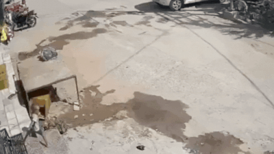 a three year old boy named jempa was tragically run over by a scorpio suv while playing outside https://jaipur.visitinrajasthan.com/wp-content/uploads/2023/10/cropped-cropped-R-2.png
