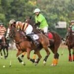 polo 3jpeg https://jaipur.visitinrajasthan.com/wp-content/uploads/2023/10/cropped-cropped-R-2.png